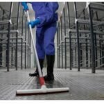 WhatsApp Image 2026-02-12 at 16.57.15