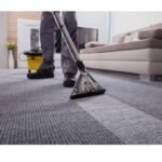 WhatsApp Image 2026-02-12 at 16.57.18 (1)