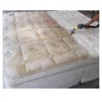 WhatsApp Image 2026-02-12 at 16.57.19 (1)