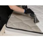 WhatsApp Image 2026-02-12 at 16.57.19